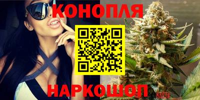 гашик Краснознаменск