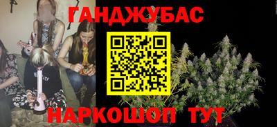 гашик Краснознаменск