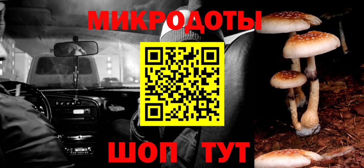 Псилоцибиновые грибы GOLDEN TEACHER Елизово